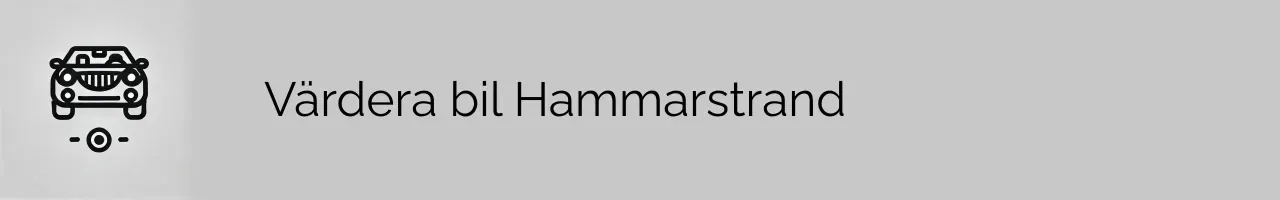 Värdera bil Hammarstrand